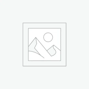 Business Insights Laptop